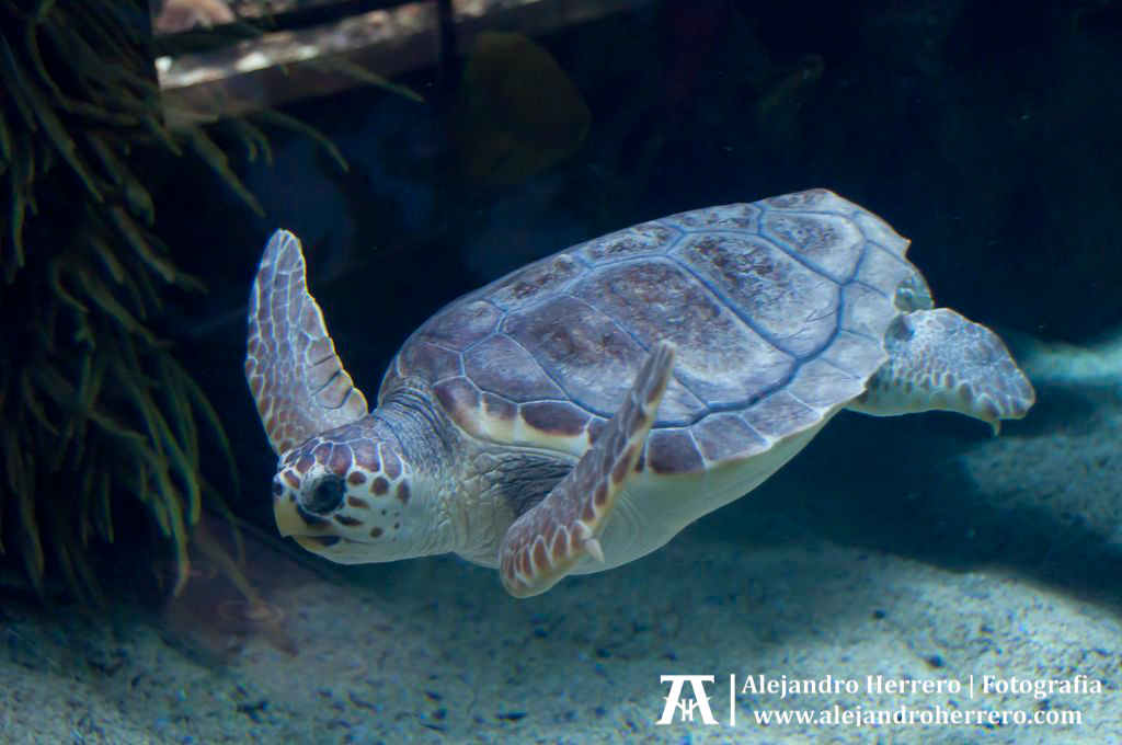 2012-03-15-Visita-oceanografico-cac-valencia-257