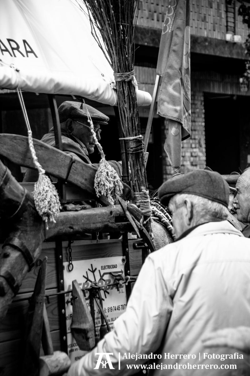 2013-01-17-San-Antonio-Patron-de-los-animales-Valencia-039-BW3